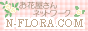 n-flora5.gif