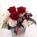 �u���L�x�[�X�P�R���[�W��