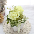 �X�N�G�A�r�v�`�C�G���[
