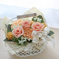 ���C���[�o�X�P�b�gLL�p�X�e���I�����W
