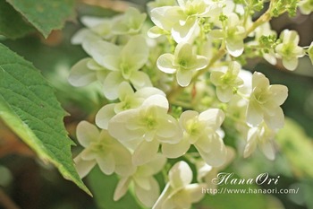2013.0604_1.JPG