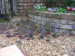 20100416 002.jpg