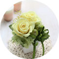�X�N�G�A�r�v�`�C�G���[
