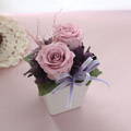 �X�N�G�A�r�v�`�p�[�v��